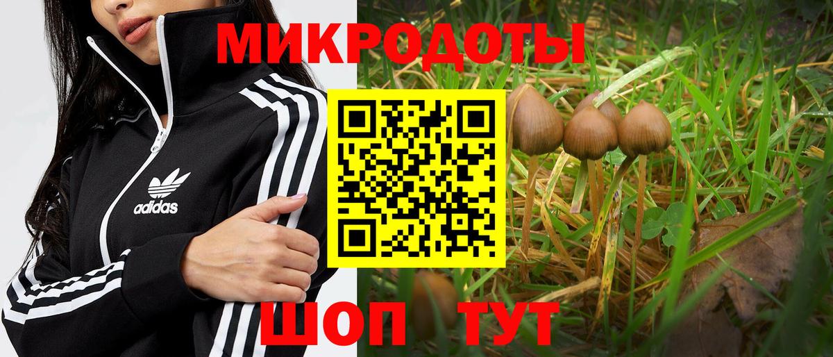 Галлюциногенные грибы Cubensis  Вход с VPN  Семёнов  Галлюциногенные грибы GOLDEN TEACHER 